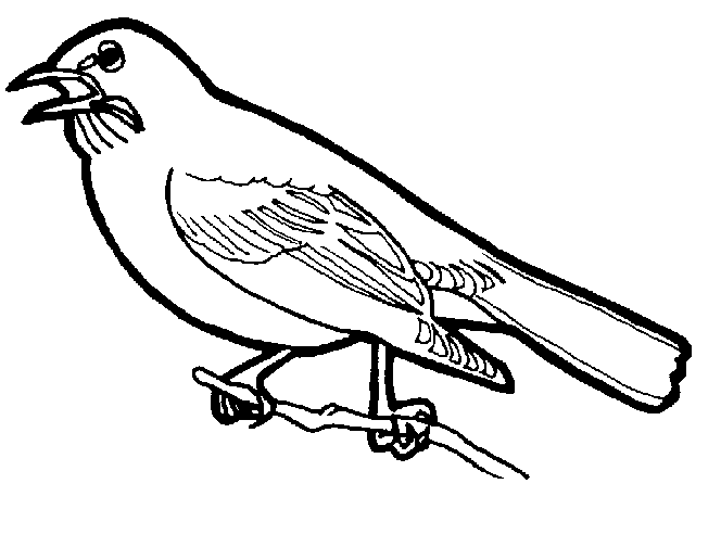 着色页: 鸟类 (动物) #11853 - 免费可打印着色页