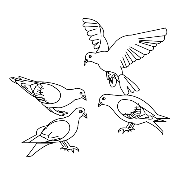 着色页: 鸟类 (动物) #11856 - 免费可打印着色页