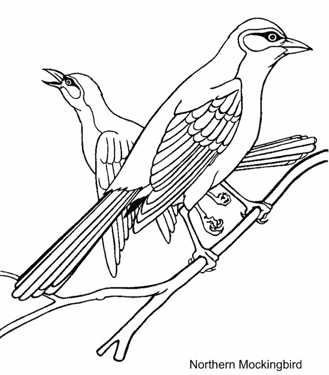 着色页: 鸟类 (动物) #11871 - 免费可打印着色页