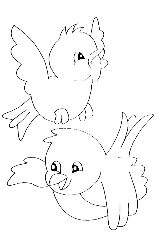 着色页: 鸟类 (动物) #11879 - 免费可打印着色页