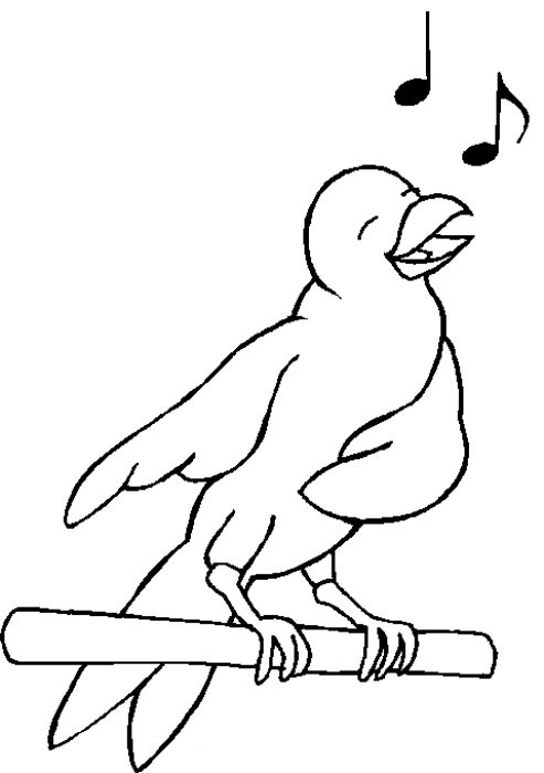 着色页: 鸟类 (动物) #11880 - 免费可打印着色页