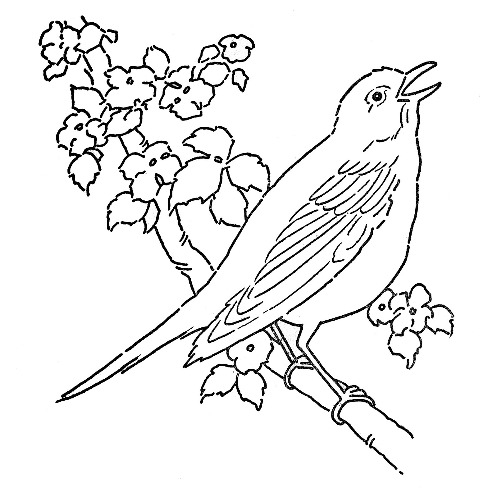 着色页: 鸟类 (动物) #11883 - 免费可打印着色页