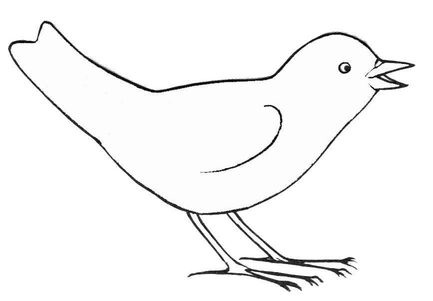 着色页: 鸟类 (动物) #11884 - 免费可打印着色页