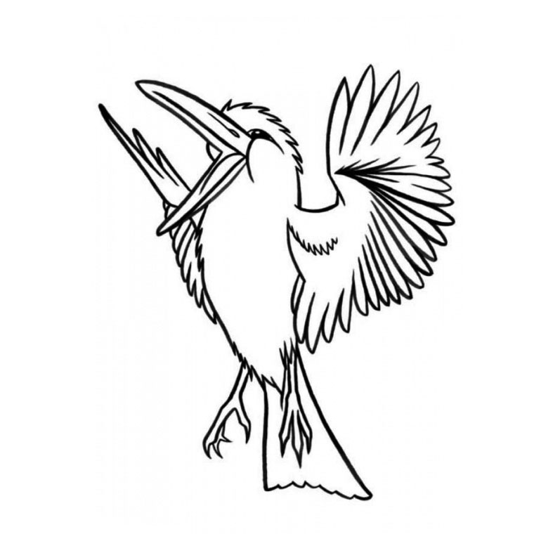 着色页: 鸟类 (动物) #11911 - 免费可打印着色页
