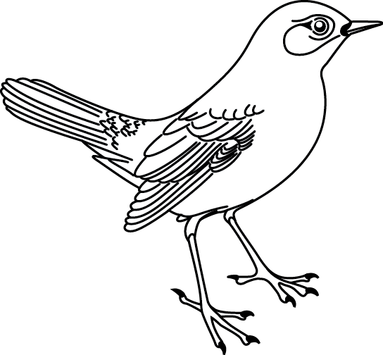 着色页: 鸟类 (动物) #11913 - 免费可打印着色页