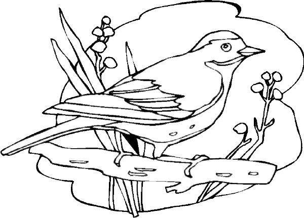 着色页: 鸟类 (动物) #11921 - 免费可打印着色页