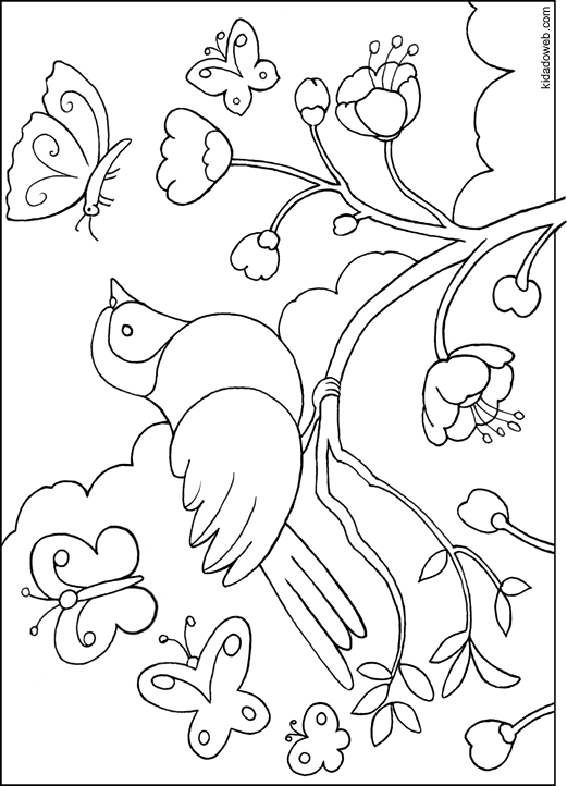 着色页: 鸟类 (动物) #11944 - 免费可打印着色页