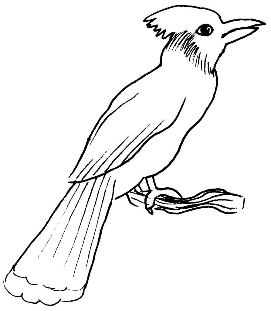 着色页: 鸟类 (动物) #11947 - 免费可打印着色页