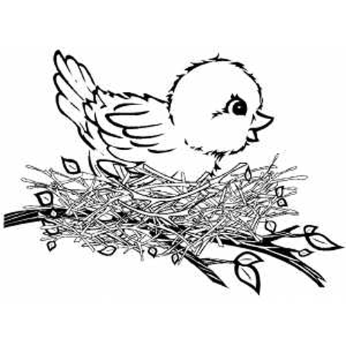 着色页: 鸟类 (动物) #11952 - 免费可打印着色页