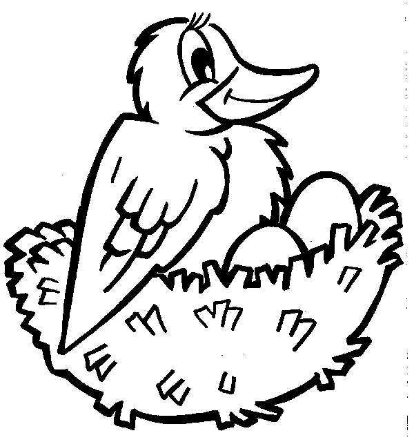 着色页: 鸟类 (动物) #11958 - 免费可打印着色页