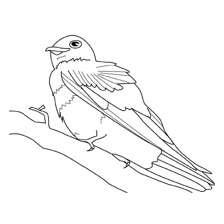 着色页: 鸟类 (动物) #11962 - 免费可打印着色页