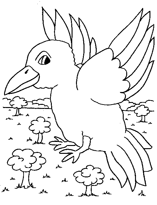 着色页: 鸟类 (动物) #11967 - 免费可打印着色页