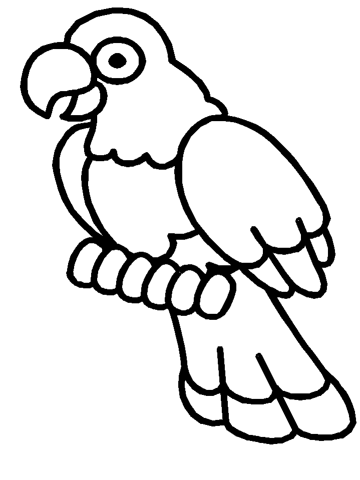 着色页: 鸟类 (动物) #11975 - 免费可打印着色页