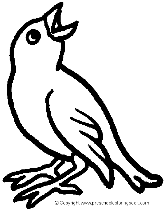 着色页: 鸟类 (动物) #11983 - 免费可打印着色页