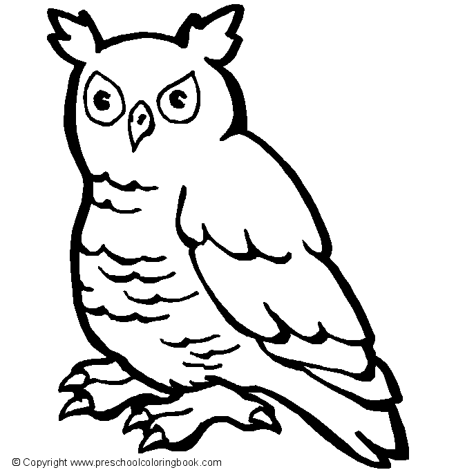 着色页: 鸟类 (动物) #11984 - 免费可打印着色页