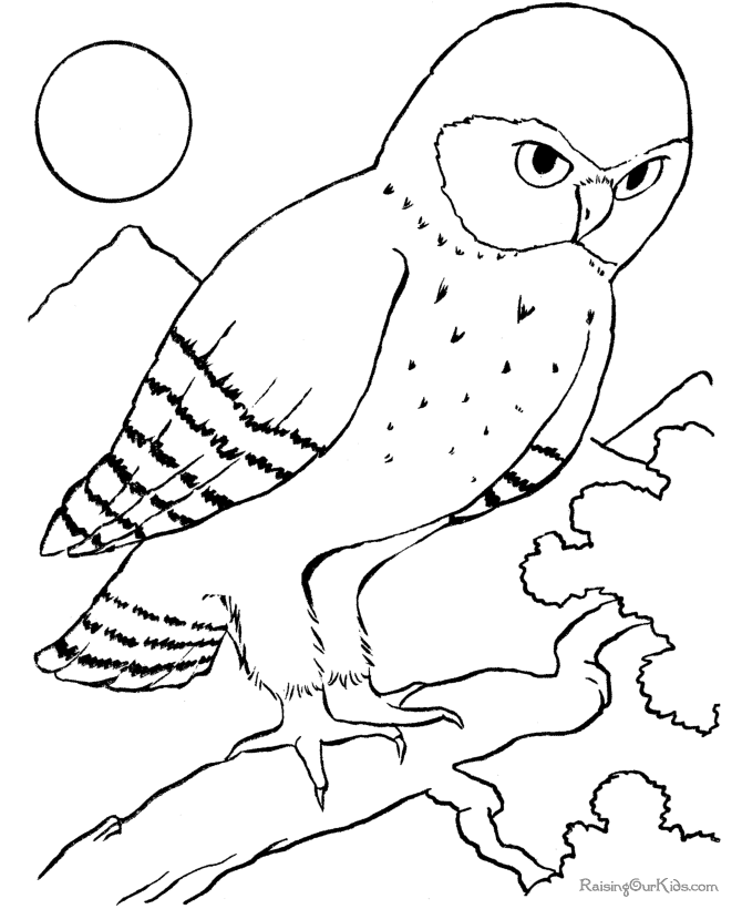 着色页: 鸟类 (动物) #11990 - 免费可打印着色页