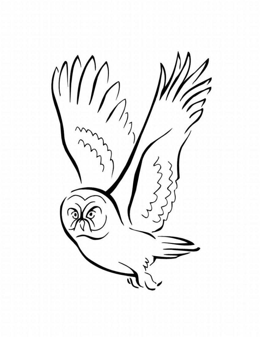 着色页: 鸟类 (动物) #11992 - 免费可打印着色页