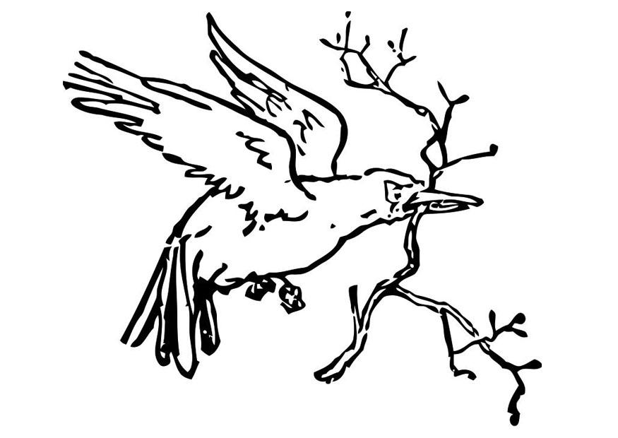 着色页: 鸟类 (动物) #12006 - 免费可打印着色页