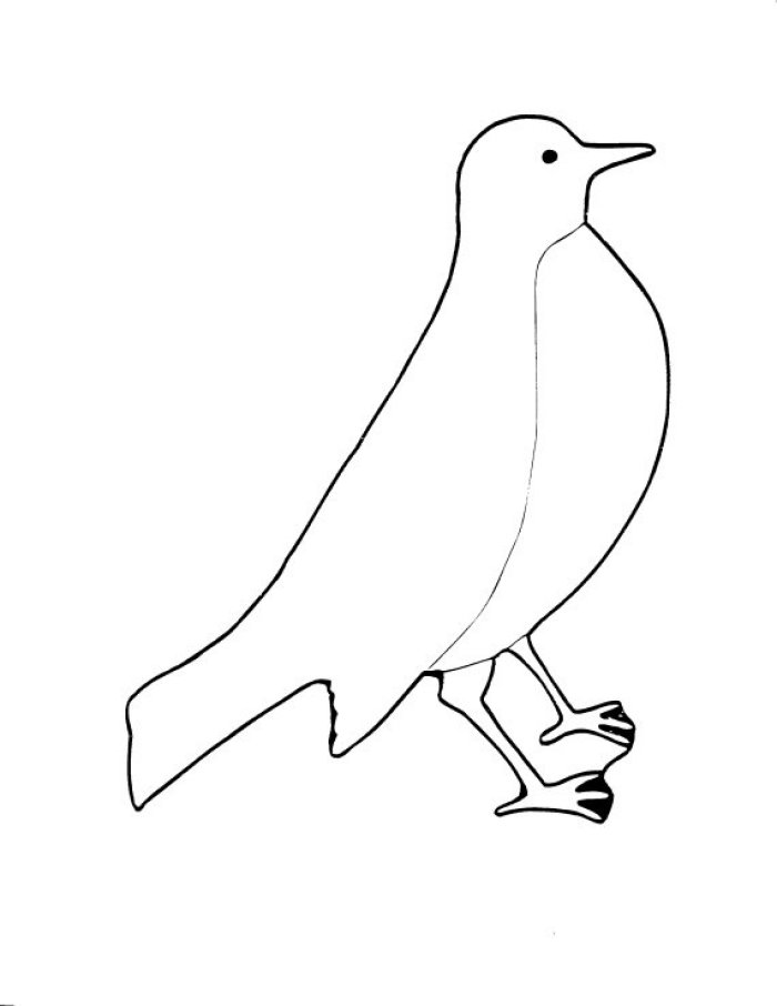 着色页: 鸟类 (动物) #12011 - 免费可打印着色页