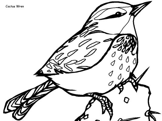 着色页: 鸟类 (动物) #12026 - 免费可打印着色页