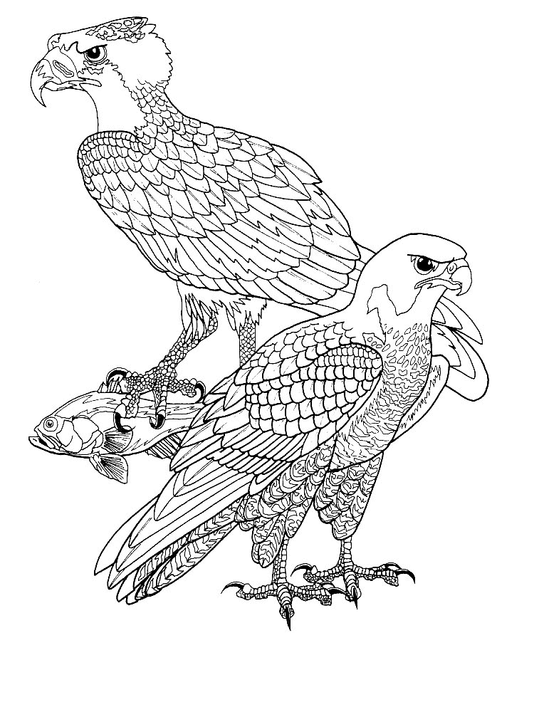 着色页: 鸟类 (动物) #12053 - 免费可打印着色页