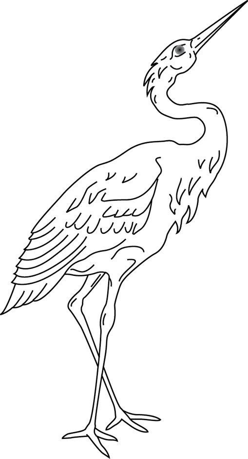 着色页: 鸟类 (动物) #12067 - 免费可打印着色页