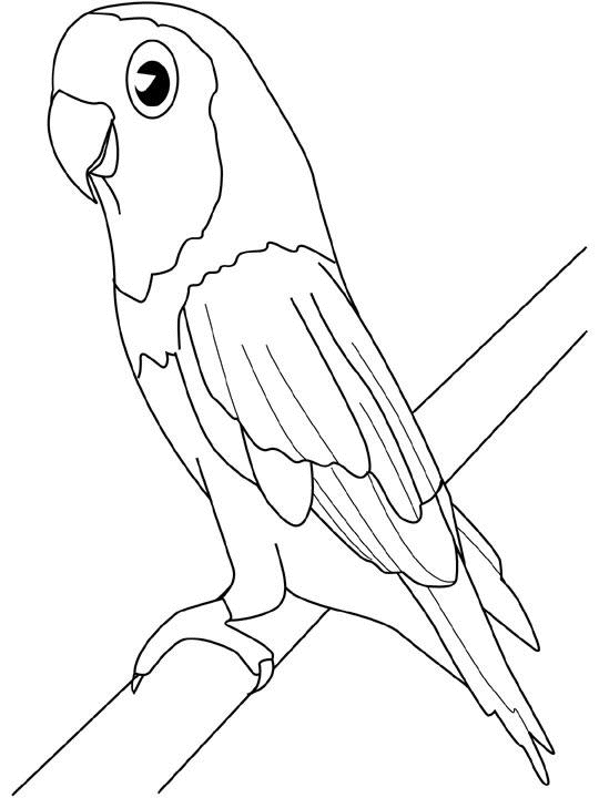 着色页: 鸟类 (动物) #12084 - 免费可打印着色页