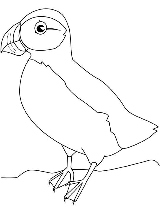 着色页: 鸟类 (动物) #12098 - 免费可打印着色页