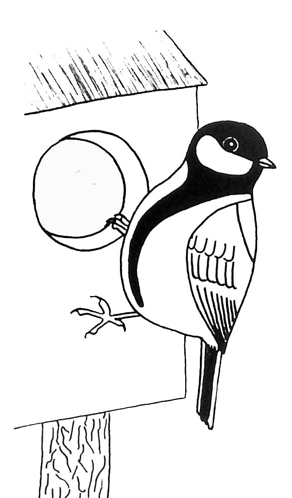 着色页: 鸟类 (动物) #12125 - 免费可打印着色页