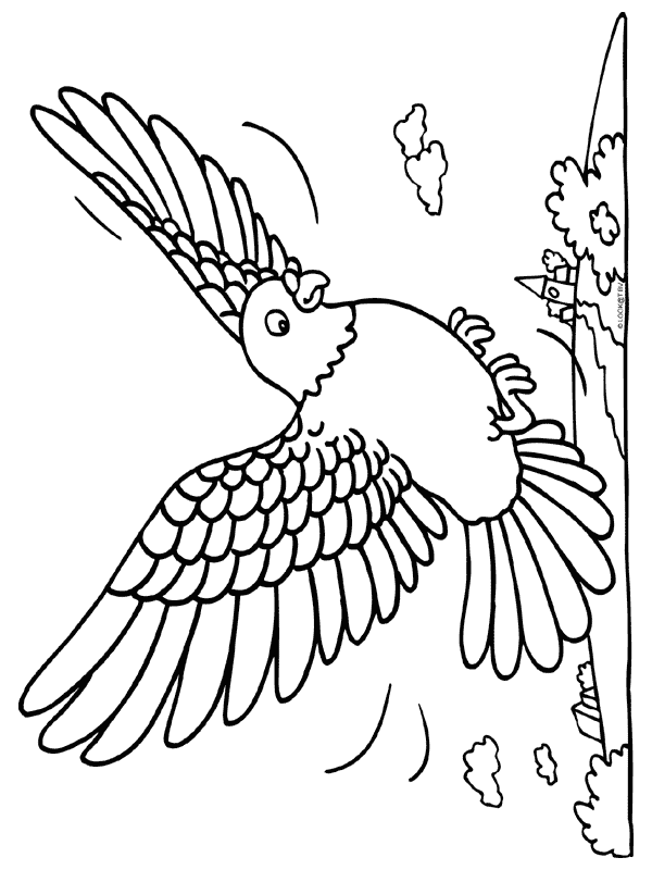 着色页: 鸟类 (动物) #12132 - 免费可打印着色页