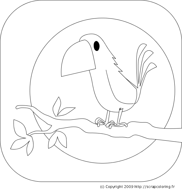 着色页: 鸟类 (动物) #12139 - 免费可打印着色页