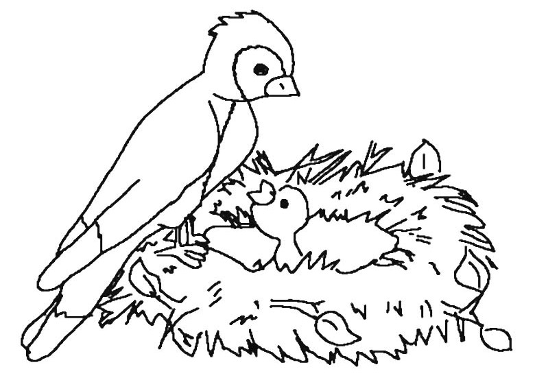 着色页: 鸟类 (动物) #12145 - 免费可打印着色页