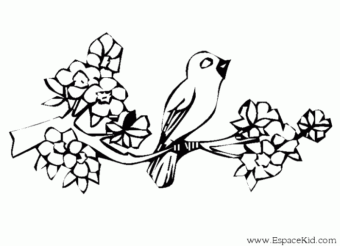 着色页: 鸟类 (动物) #12147 - 免费可打印着色页