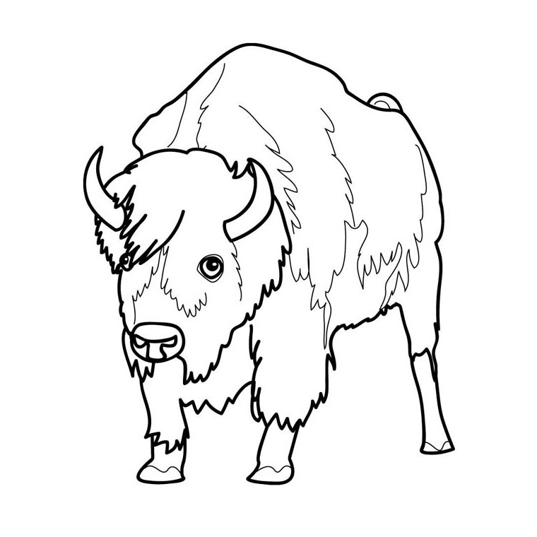 着色页: 野牛 (动物) #1192 - 免费可打印着色页
