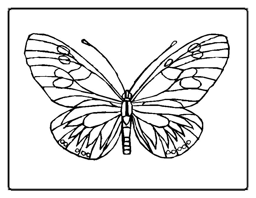 着色页: 蝴蝶 (动物) #15669 - 免费可打印着色页