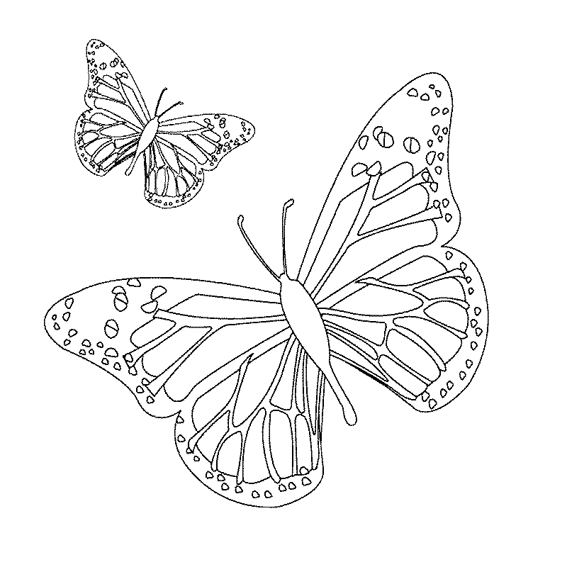 着色页: 蝴蝶 (动物) #15672 - 免费可打印着色页