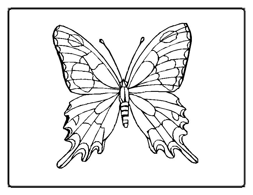 着色页: 蝴蝶 (动物) #15678 - 免费可打印着色页