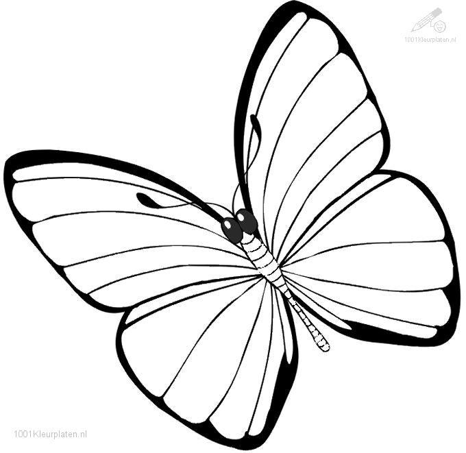 着色页: 蝴蝶 (动物) #15680 - 免费可打印着色页