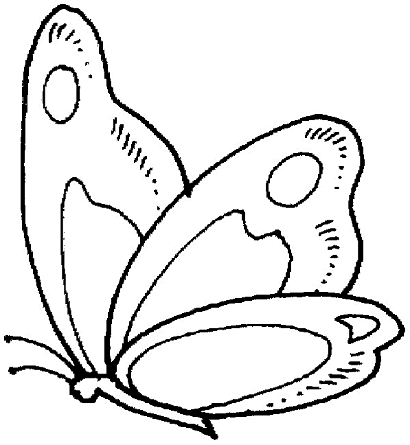 着色页: 蝴蝶 (动物) #15685 - 免费可打印着色页
