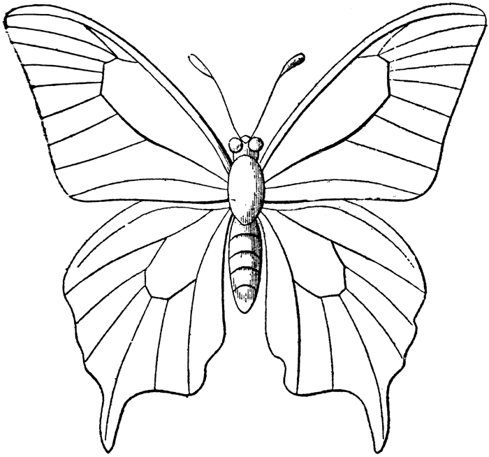 着色页: 蝴蝶 (动物) #15693 - 免费可打印着色页
