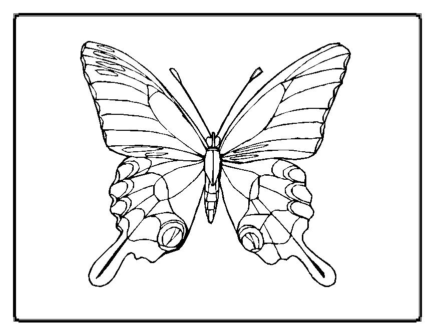 着色页: 蝴蝶 (动物) #15694 - 免费可打印着色页