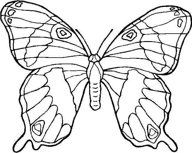 着色页: 蝴蝶 (动物) #15697 - 免费可打印着色页
