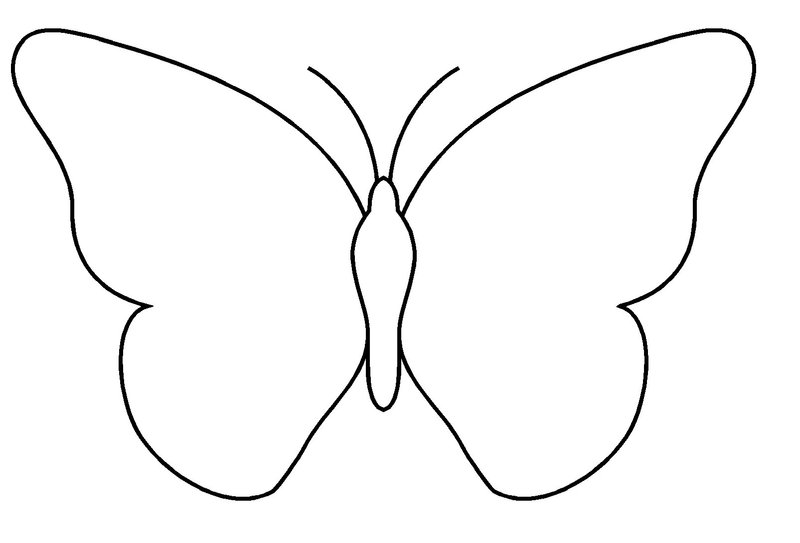 着色页: 蝴蝶 (动物) #15701 - 免费可打印着色页