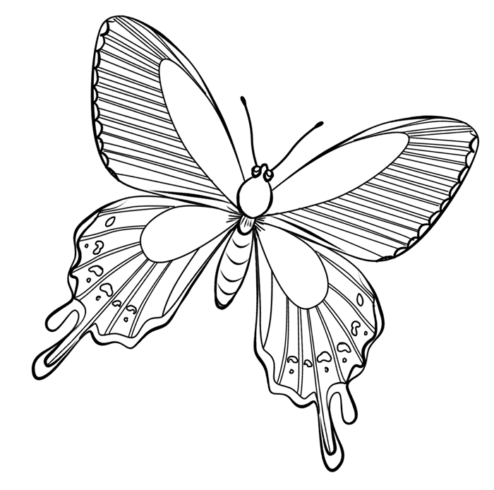 着色页: 蝴蝶 (动物) #15715 - 免费可打印着色页