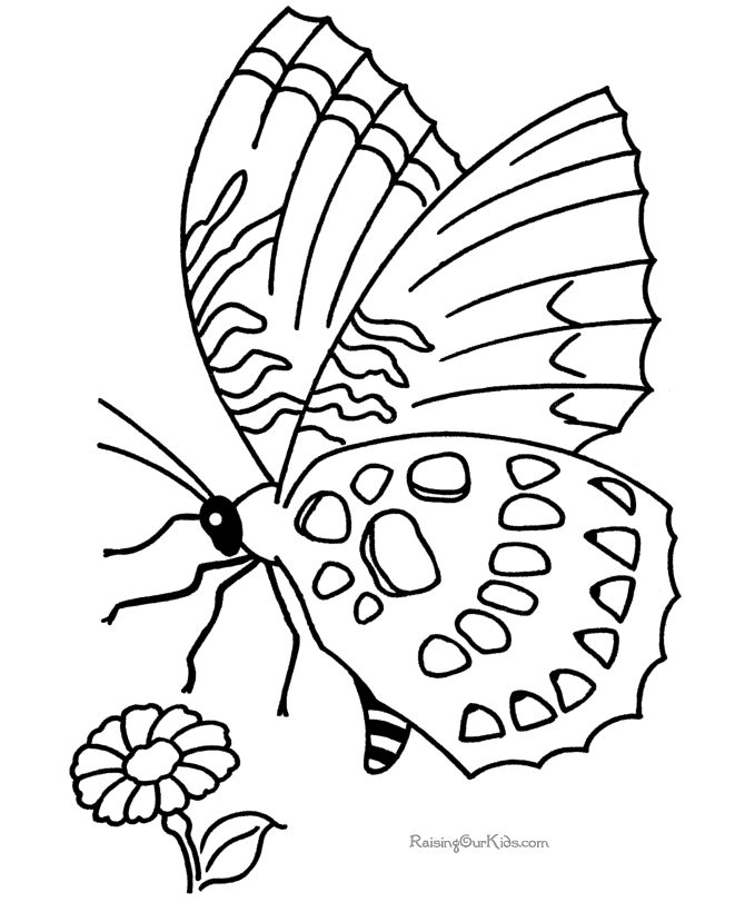 着色页: 蝴蝶 (动物) #15720 - 免费可打印着色页