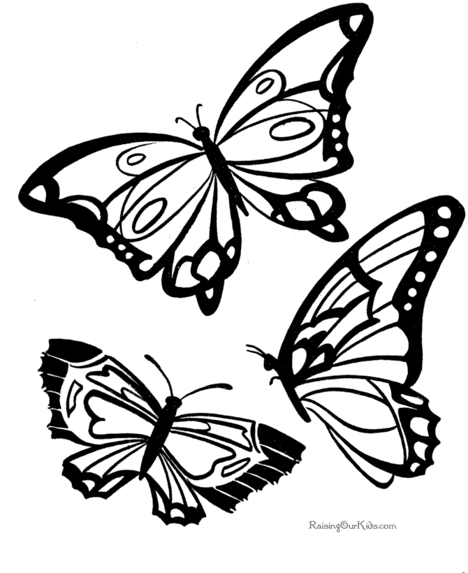 着色页: 蝴蝶 (动物) #15730 - 免费可打印着色页