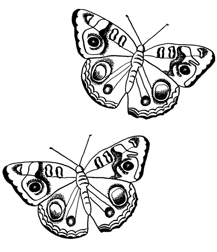 着色页: 蝴蝶 (动物) #15764 - 免费可打印着色页