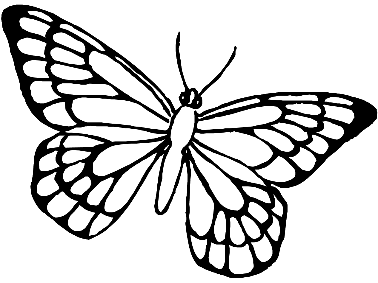 着色页: 蝴蝶 (动物) #15768 - 免费可打印着色页