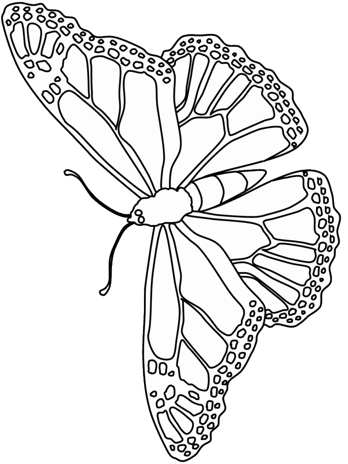 着色页: 蝴蝶 (动物) #15773 - 免费可打印着色页