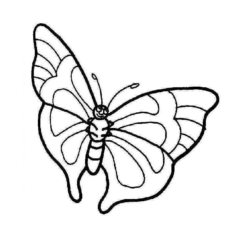 着色页: 蝴蝶 (动物) #15777 - 免费可打印着色页